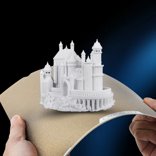 Repayment Link (Only for Customer Service)